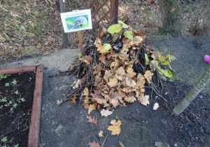 "Domek dla jeża" z liści i patyków